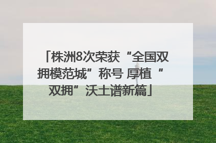 株洲8次荣获“全国双拥模范城”称号 厚植“双拥”沃土谱新篇