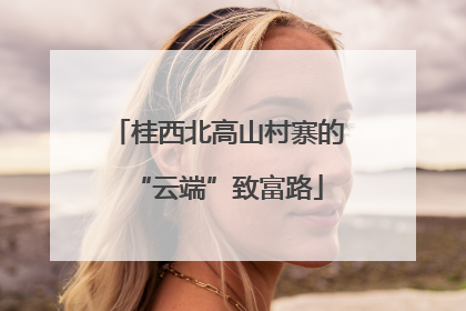 桂西北高山村寨的“云端”致富路