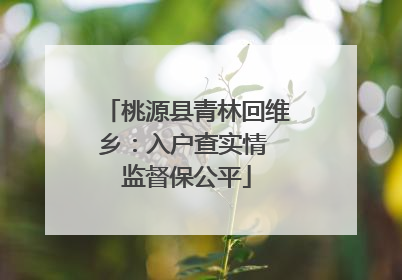 桃源县青林回维乡：入户查实情 监督保公平