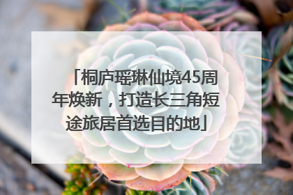 桐庐瑶琳仙境45周年焕新，打造长三角短途旅居首选目的地