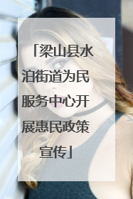 梁山县水泊街道为民服务中心开展惠民政策宣传