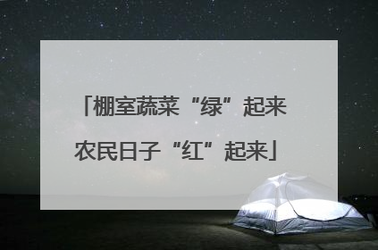 棚室蔬菜“绿”起来 农民日子“红”起来