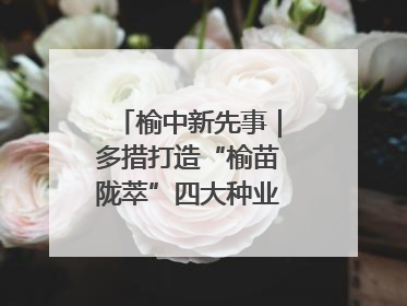 榆中新先事｜多措打造“榆苗陇萃”四大种业育苗品牌