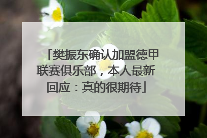 樊振东确认加盟德甲联赛俱乐部，本人最新回应：真的很期待