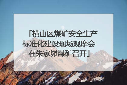 横山区煤矿安全生产标准化建设现场观摩会在朱家峁煤矿召开
