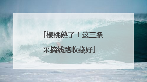樱桃熟了！这三条采摘线路收藏好