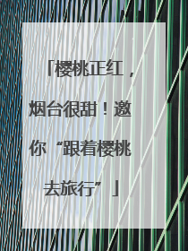 樱桃正红，烟台很甜！邀你“跟着樱桃去旅行”
