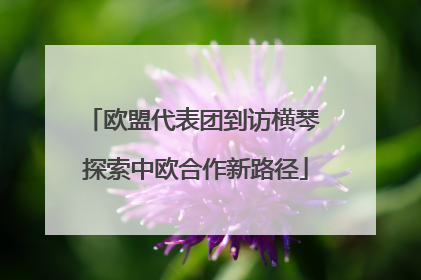 欧盟代表团到访横琴 探索中欧合作新路径