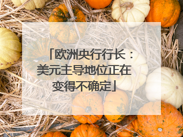 欧洲央行行长：美元主导地位正在变得不确定