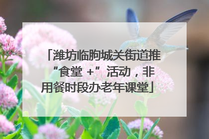 潍坊临朐城关街道推“食堂 +”活动，非用餐时段办老年课堂