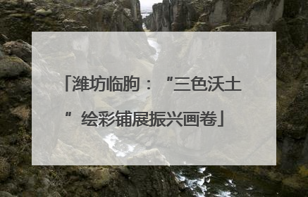 潍坊临朐：“三色沃土”绘彩铺展振兴画卷