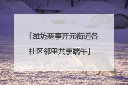 潍坊寒亭开元街道各社区邻里共享端午