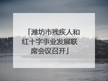 潍坊市残疾人和红十字事业发展联席会议召开