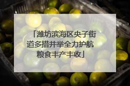 潍坊滨海区央子街道多措并举全力护航粮食丰产丰收