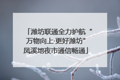 潍坊联通全力护航“万物向上·更好潍坊”凤溪地夜市通信畅通