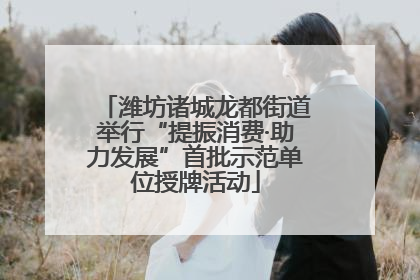 潍坊诸城龙都街道举行“提振消费·助力发展”首批示范单位授牌活动