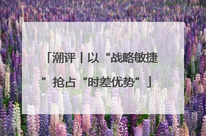 潮评丨以“战略敏捷”抢占“时差优势”