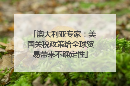 澳大利亚专家：美国关税政策给全球贸易带来不确定性