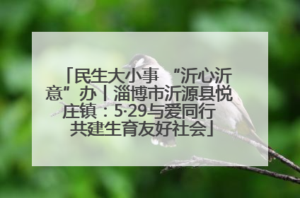 民生大小事 “沂心沂意”办丨淄博市沂源县悦庄镇：5·29与爱同行 共建生育友好社会