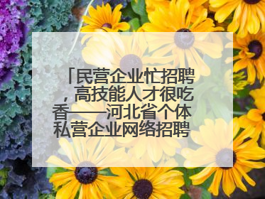 民营企业忙招聘，高技能人才很吃香——河北省个体私营企业网络招聘大会扫描