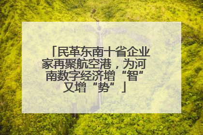 民革东南十省企业家再聚航空港，为河南数字经济增“智”又增“势”