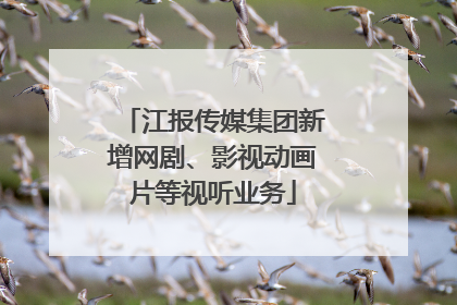 江报传媒集团新增网剧、影视动画片等视听业务