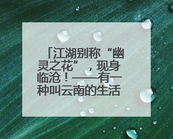 江湖别称“幽灵之花”，现身临沧！——有一种叫云南的生活之365天