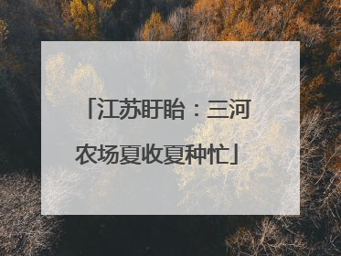 江苏盱眙：三河农场夏收夏种忙