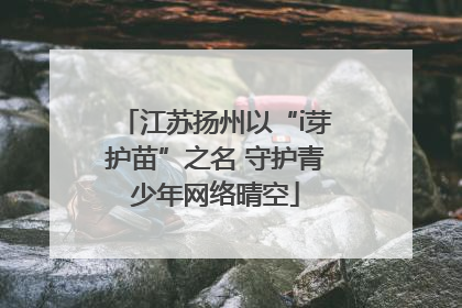 江苏扬州以“i芽护苗”之名 守护青少年网络晴空