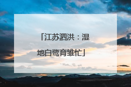 江苏泗洪：湿地白鹭育雏忙