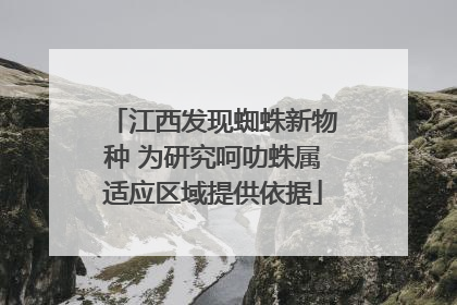 江西发现蜘蛛新物种 为研究呵叻蛛属适应区域提供依据