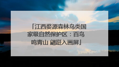 江西婺源森林鸟类国家级自然保护区：百鸟鸣青山 翩跹入画屏
