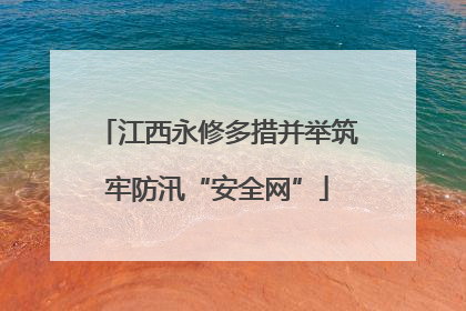 江西永修多措并举筑牢防汛“安全网”