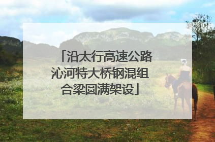 沿太行高速公路沁河特大桥钢混组合梁圆满架设