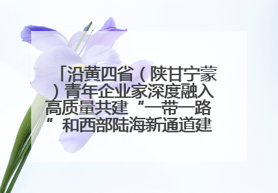 沿黄四省（陕甘宁蒙）青年企业家深度融入高质量共建“一带一路”和西部陆海新通道建设战略合作交流会在甘肃兰州召开
