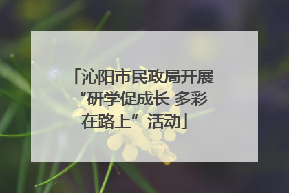 沁阳市民政局开展“研学促成长 多彩在路上”活动