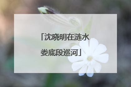 沈晓明在涟水娄底段巡河