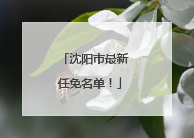 沈阳市最新任免名单！