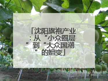 沈阳旗袍产业：从“小众圈层”到“大众国潮”的嬗变