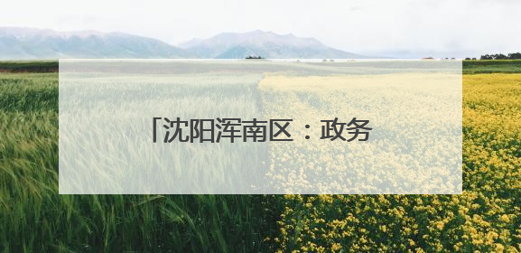 沈阳浑南区：政务服务进村屯，“村政通”助力乡村振兴