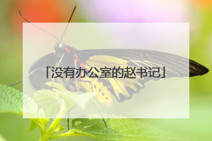 没有办公室的赵书记