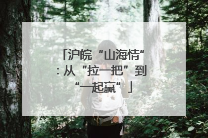 沪皖“山海情”：从“拉一把”到“一起赢”