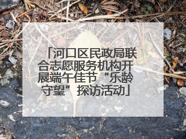 河口区民政局联合志愿服务机构开展端午佳节“乐龄守望”探访活动
