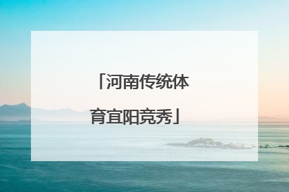 河南传统体育宜阳竞秀