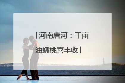 河南唐河：千亩油蟠桃喜丰收