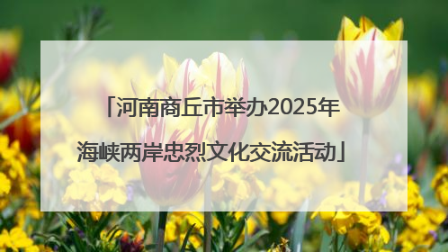 河南商丘市举办2025年海峡两岸忠烈文化交流活动