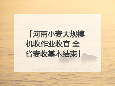 河南小麦大规模机收作业收官 全省麦收基本结束