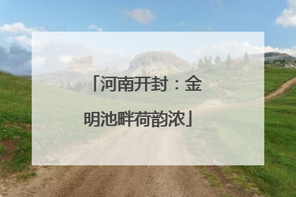 河南开封：金明池畔荷韵浓