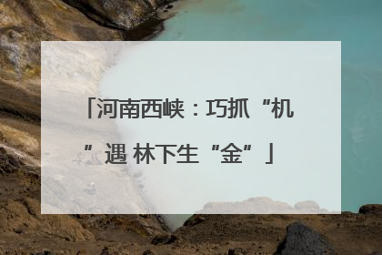 河南西峡：巧抓“机”遇 林下生“金”