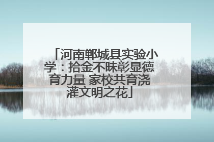 河南郸城县实验小学：拾金不昧彰显德育力量 家校共育浇灌文明之花